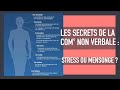 La communication non verbale et le body language : les items du stress et du mensonge