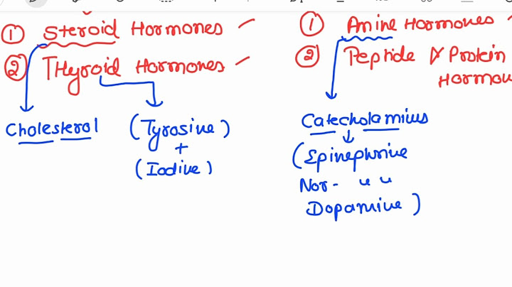 Water-soluble hormones are inactivated and removed from the blood by the liver