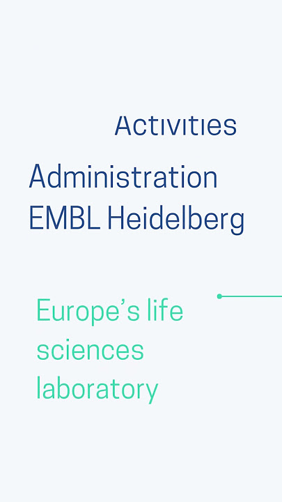 Programme Officer, EMBO Global Activities Administration MBL Heidelberg