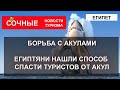 БОРЬБА С АКУЛАМИ 2023| ЕГИПЕТ нашел способ спасти туристов от акул