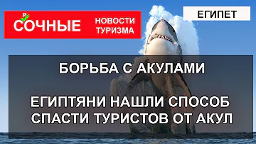 БОРЬБА С АКУЛАМИ 2023| ЕГИПЕТ нашел способ спасти туристов от акул