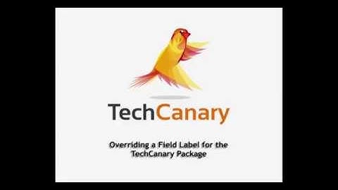 Salesforce - Override Custom Field Label