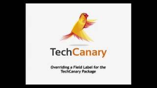 Salesforce - Override Custom Field Label