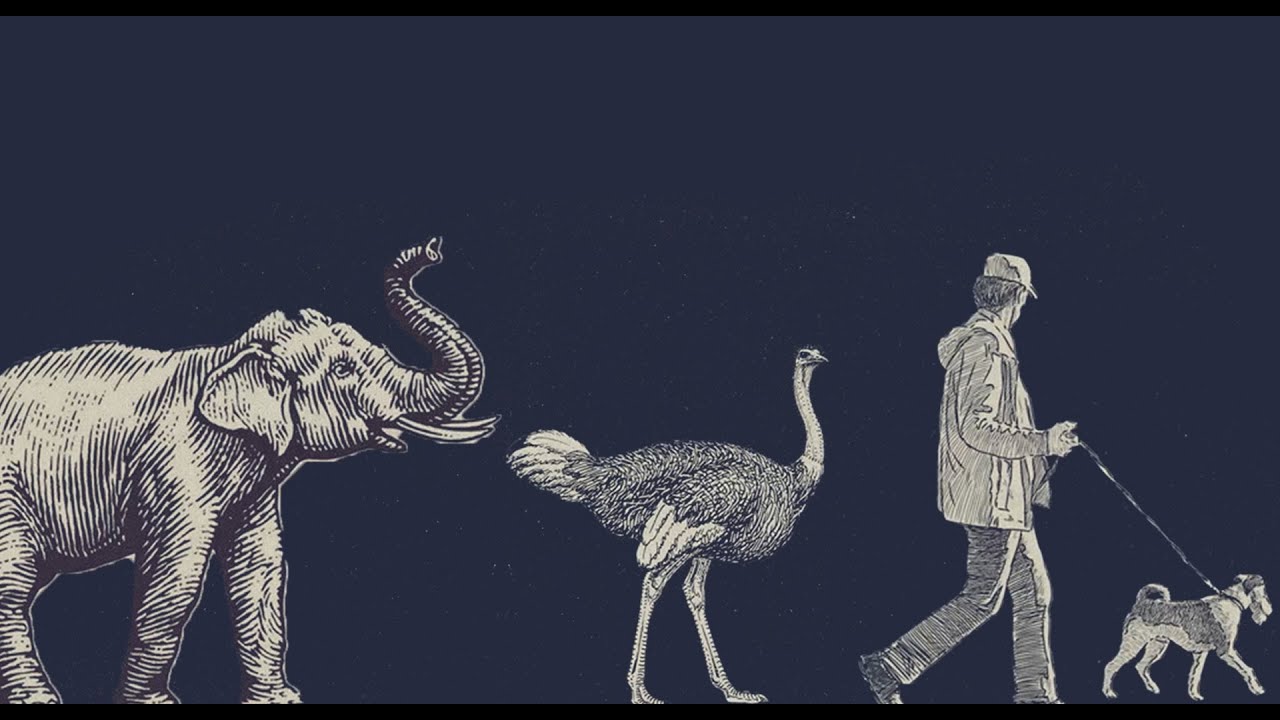 Nature, humans, technology: The age of acceleration