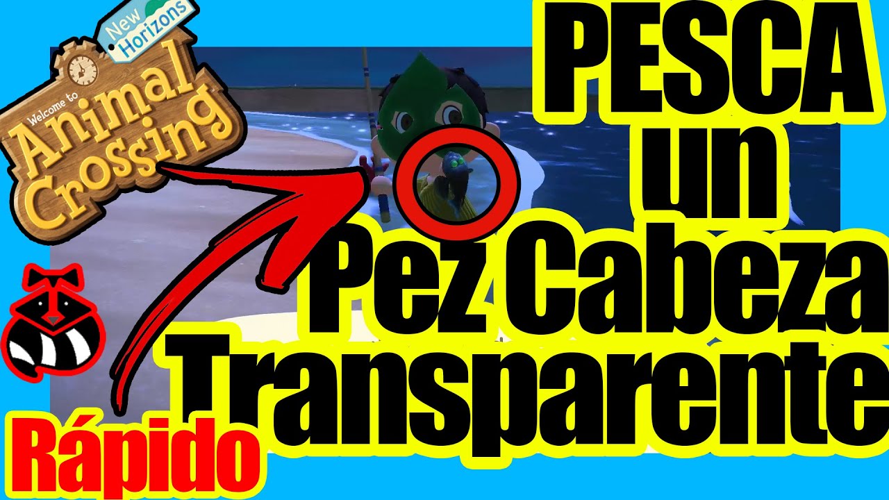 Como PESCAR un PEZ CABEZA TRANSPARENTE PEZ CABEZA TRANSPARENTE ACNH Como PESCAR un PEZ CABEZA TRANSPARENTE PEZ CABEZA TRANSPARENTE ACNH
