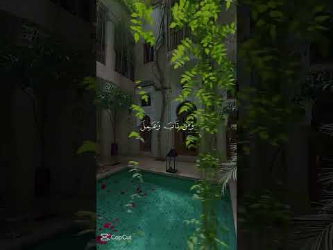٤ تشرين الأول ٢٠٢٥