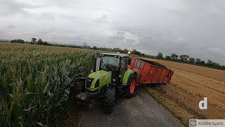 Claas Arion Stuck, Case Magnum 7210 to the rescue