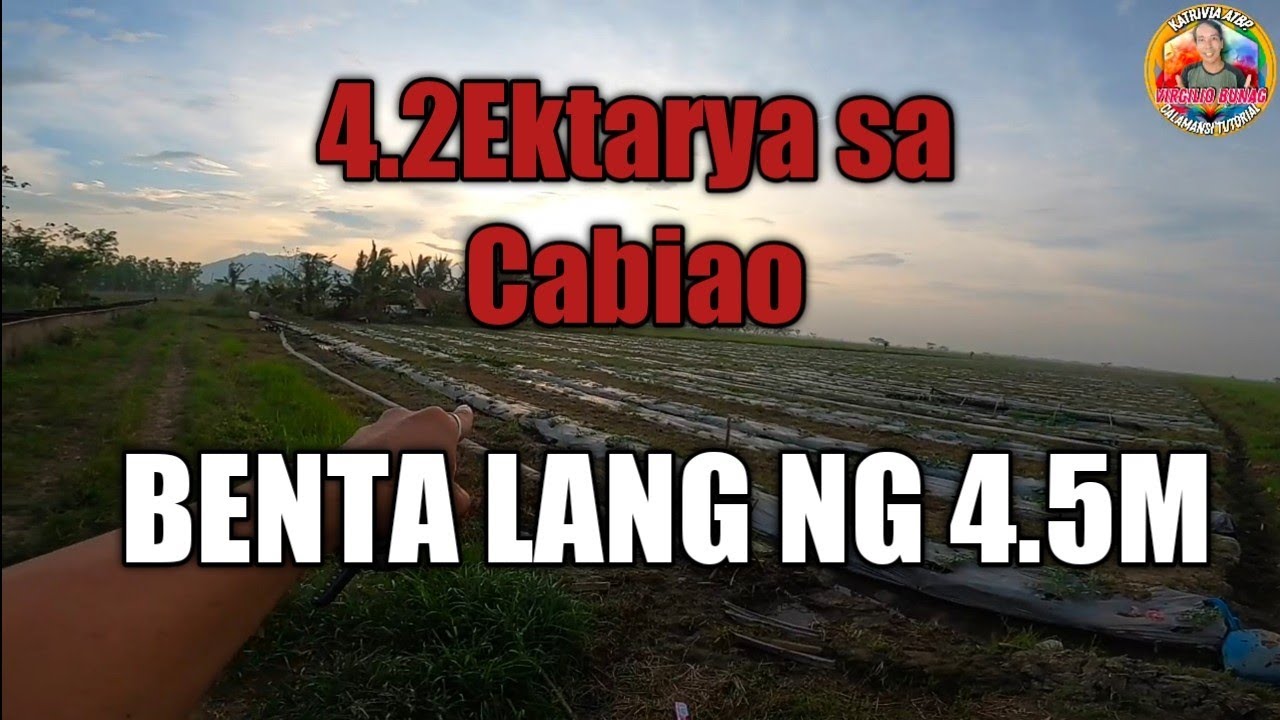 4 2 Hektar Sa Cabiao Binebenta Lang Ng 4 5M Nasa Gilid Ng Daan 4-2-hektar-sa-cabiao-binebenta-lang-ng-4-5m-nasa-gilid-ng-daan