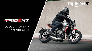 Подробный обзор нового мотоцикла Triumph Trident 660