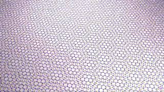 Graphene magic angle layers pave path for unprecedented Quantum control using Twistronics.