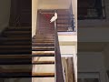手動ブレーキのテクニックが上がったガブ男