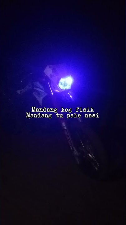 story' wa D tracker