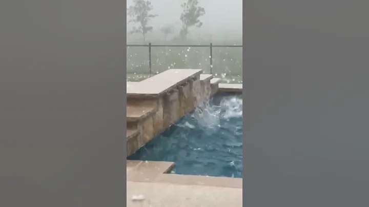 Cow Running for Hail! Hailstorm in Waco, Dublin, Texas and Florida | Texas Hailstorm 2023