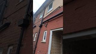 Day in the Life of an Electrician | LED PIR Floodlight install ⚡️