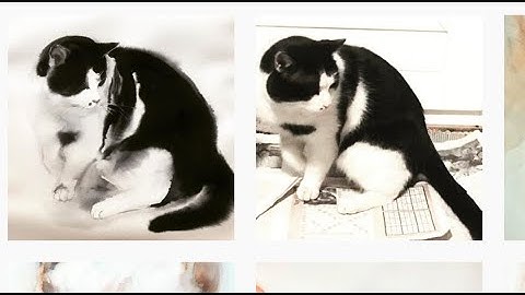 Live demo: black and white cat with watercolor - wet on wet painting technique May08 1pm (pacific)