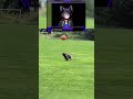 ronaldo(g)