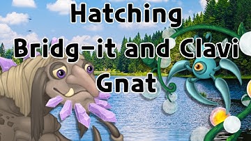 Hatching Bridg-it and Clavi Gnat