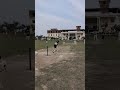 match time 💯🏏❣️ #viral #cricket #fanforever #cricketlover #ipl #cricketacadmey
