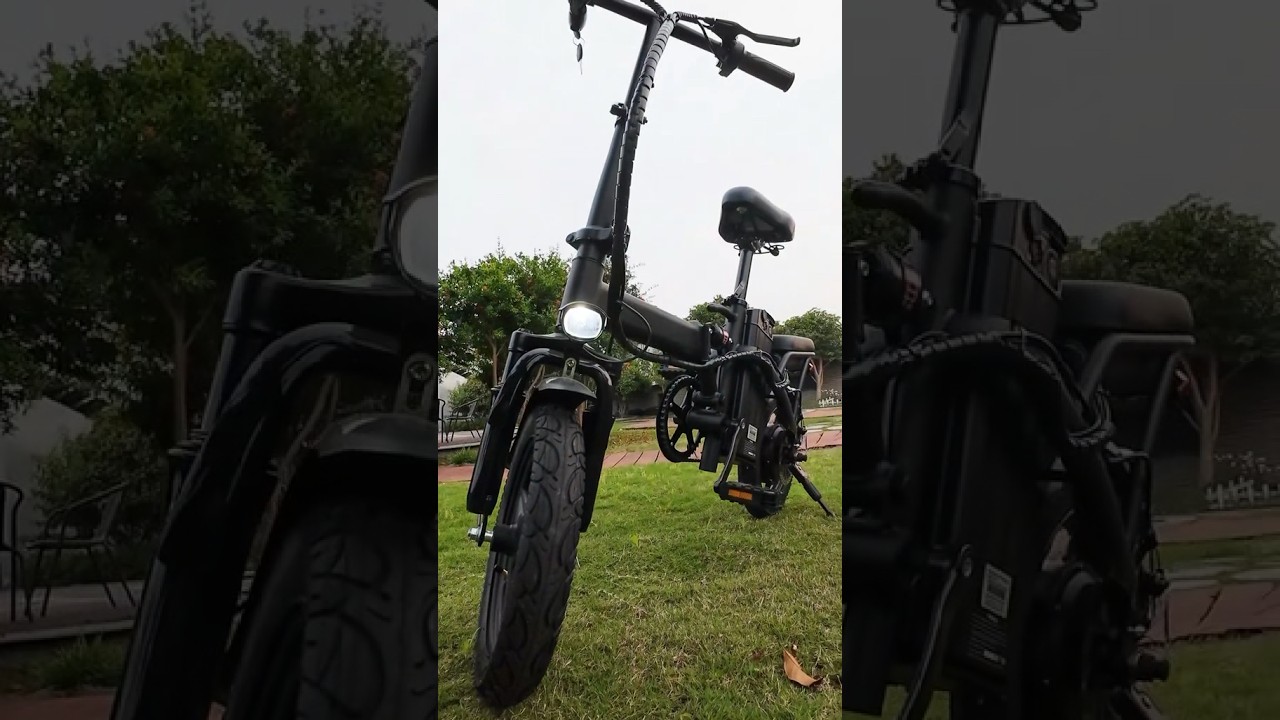 14inch Foldable E-bike 