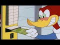 1 Hour of Woody Woodpecker | Woody