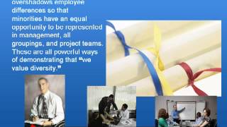 Diversity Awareness in the Workplace Training PowerPoint, DVD, Video Program for Diversity Awareness