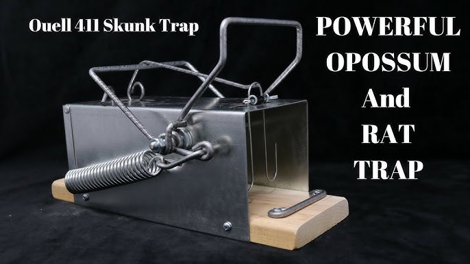 How to Set: Havahart® X-Small 2-Door Trap Model #1025 for Weasels, Rats &  Squirrels 