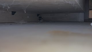How To Catch A Mouse