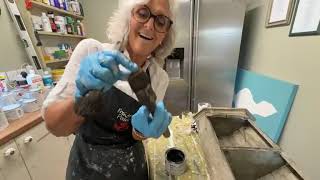 Fifi finishing off the corner unit with the Browning wax on the Frenchic Easy Crackle