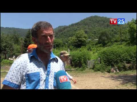 მაჭახლის ხეობაში წაბლის ხეები ხმება