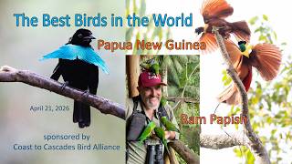 Papua New Guinea: The Best Birds in the World