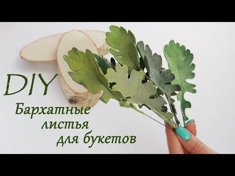 БАРХАТНЫЕ листья для