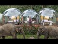 Most Unique Hotels In The World 😱 | Impossible Places (You Won’t Believe They Exist)