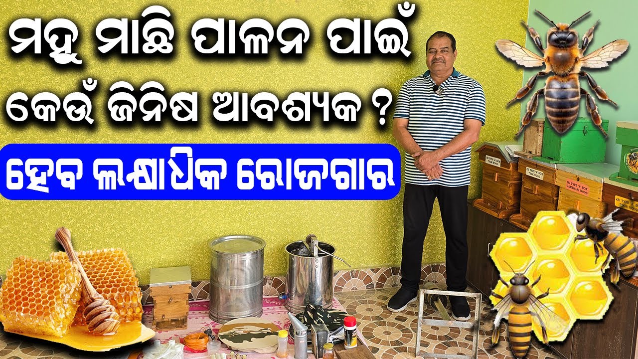 ଏମିତି ଭିଡିଓ ଆଗରୁ ଦେଖିନଥିବେ || How to Start Beekeeping in Odisha @EfarmingOdisha