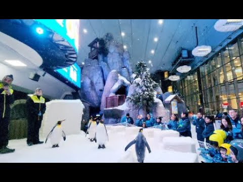 Snow Park Dubai | Worlds Largest Indoor Ski Slope | Snow World Dubai