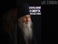 Старец Илий о смерти Сильные слова православие старецИлий ИлийНоздрин вера чудо ад рай