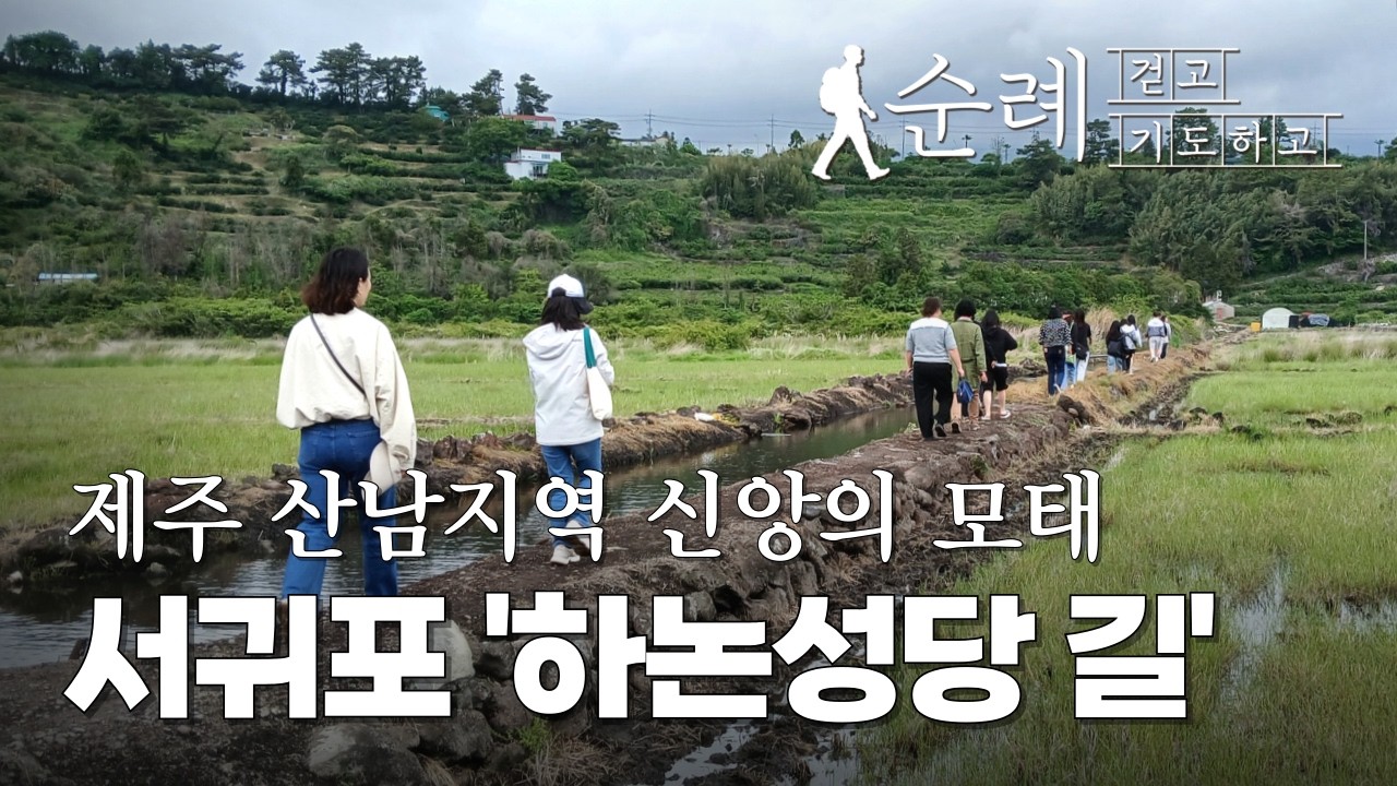 | 가톨릭신문 | 순례, 걷고 기도하고 | 제주교구 하논성당 길 | 잊혀졌던 뿌리 찾아 한 바퀴, 서귀포 신앙의 원형을 마주하다 | 제주 순례길