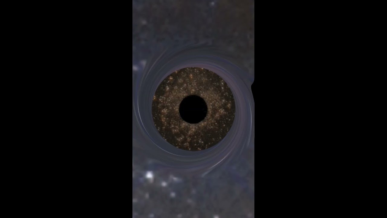 This Star Disappeared Shorts