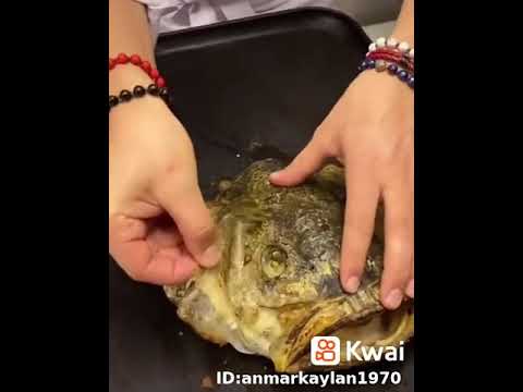 رأس السمكه مقرمش ولذيذ