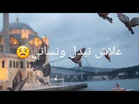 ضارني قلبي|زكرياء الغافولي|{♡حالات واتساب ♡}