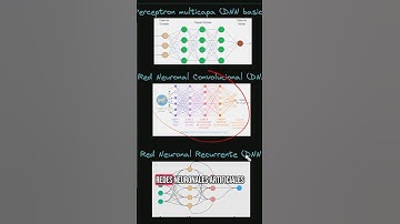 ¿Porque nuestros sistema de monitoreo de tráfico SI tiene IA?🚦🦾 #python #developer #shorts