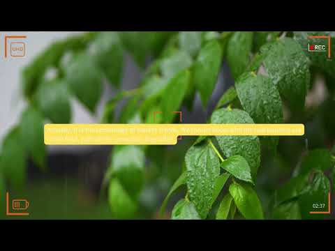 How do I buy a plot in Prestige Park Grove Whitefield with proper approval and no legal issues?