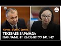 Текебаев барында парламент кызыктуу болчу (Депутат Айсулуу Мамашева)