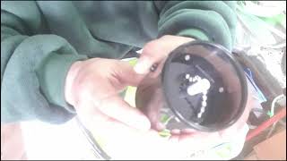 Mini Wakit Functionality Review.