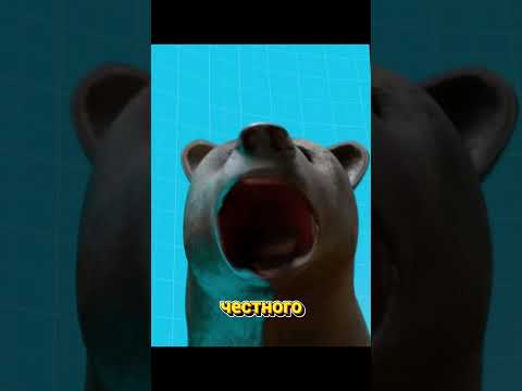 Ты против медведя. Без шансов.