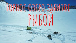 Подводная Камера Раскрыла Тайну Горного Озера/Мормышка Не Доходит До Дна/Клев Хариуса/Зимняя Рыбалка