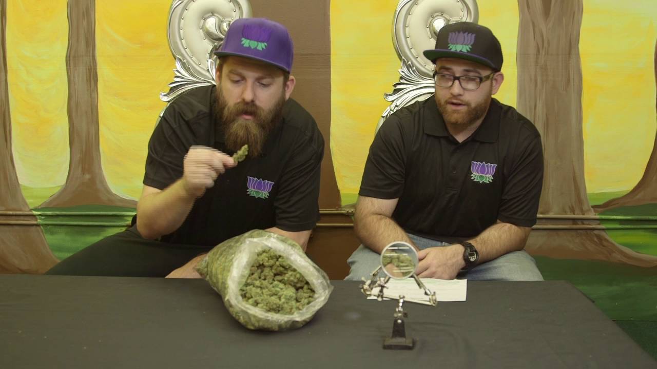 High Times Winner: F1 Durban Weed Strain Review