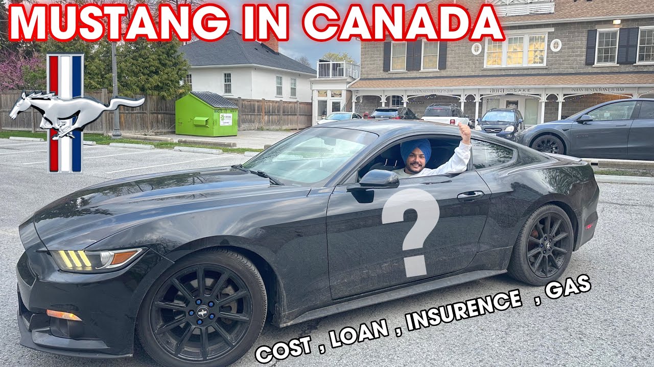 MUSTANG IN  CANADA 🇨🇦 $30,000 LOAN , INSURENCE , GAS  | INTERNATIONAL STUDENT