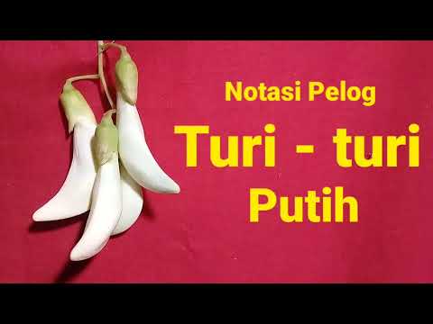 Learn Saron Notation Pelog intro song Turi turi putih