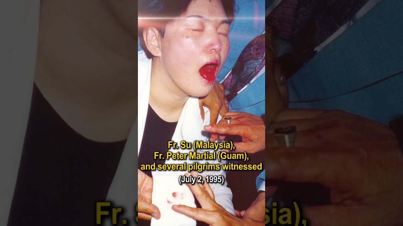 Святой Карло Акутис канонизирован! Удивительная связь с евхаристическими чудесами в Наджу