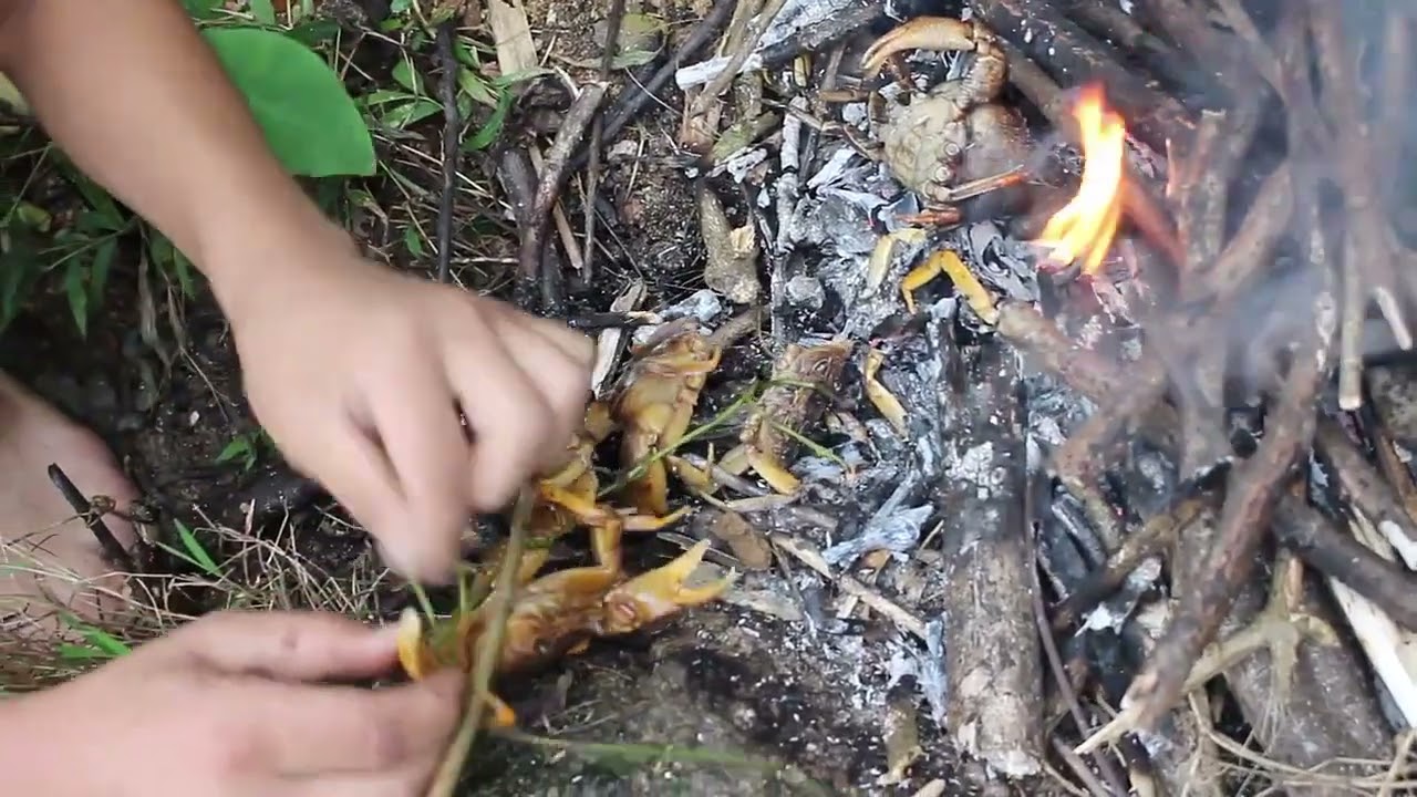 Edible Bugs and Where to Find Them: A Survival Guide